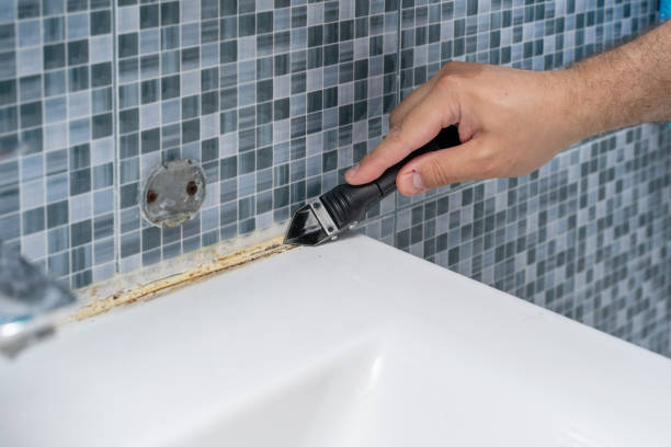 Best Professional Mold Removal  in Adelanto, CA